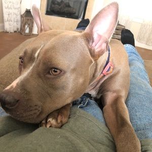 Meet your Posher, Kyle